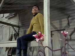 Star Trek Gallery - StarTrek_still_1x24_ThisSideOfParadise_0478.jpg
